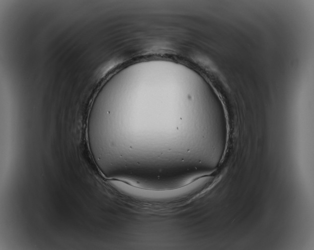 X0000083591313200703021833