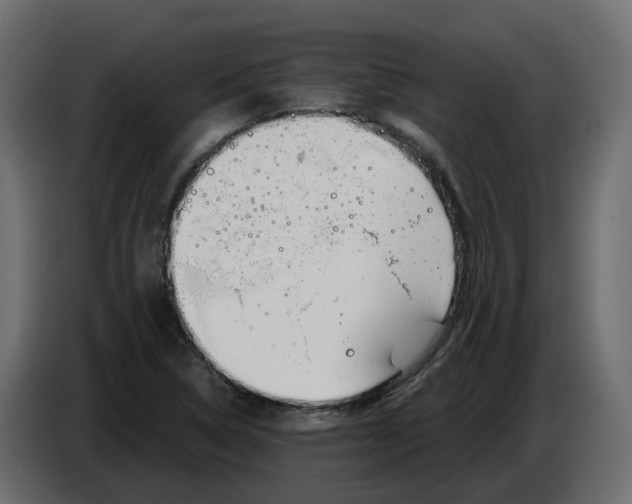 X0000083591314200703021833