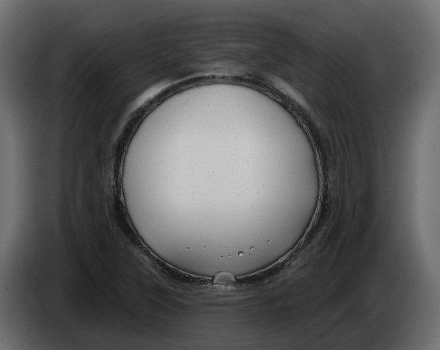 X0000083591315200703021833