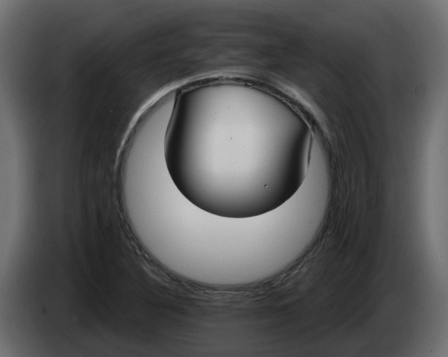X0000083591316200703021833
