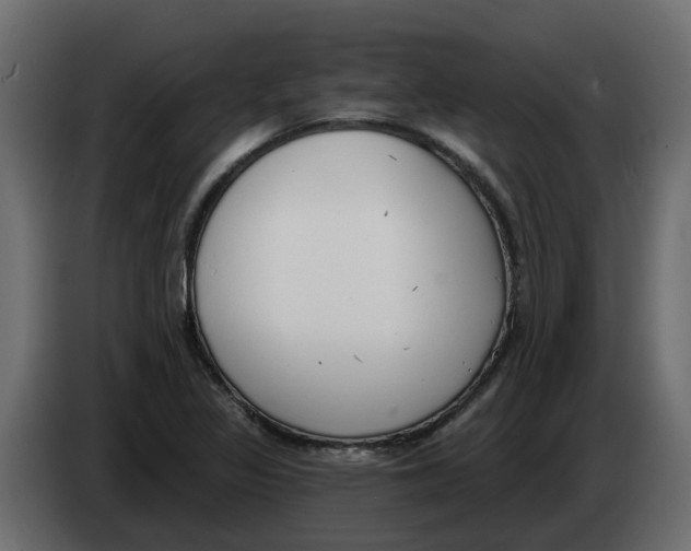 X0000083591317200703021833