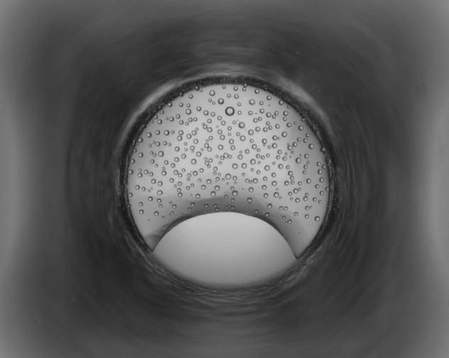 X0000083591318200703021833