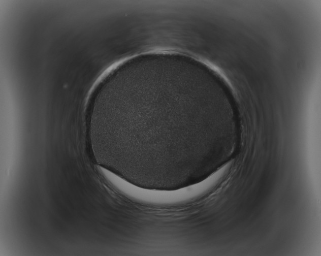 X0000083591319200703021833