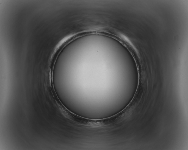 X0000083591320200703021833