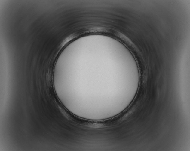 X0000083591321200703021833