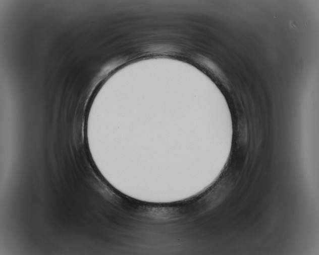 X0000083591322200703021833