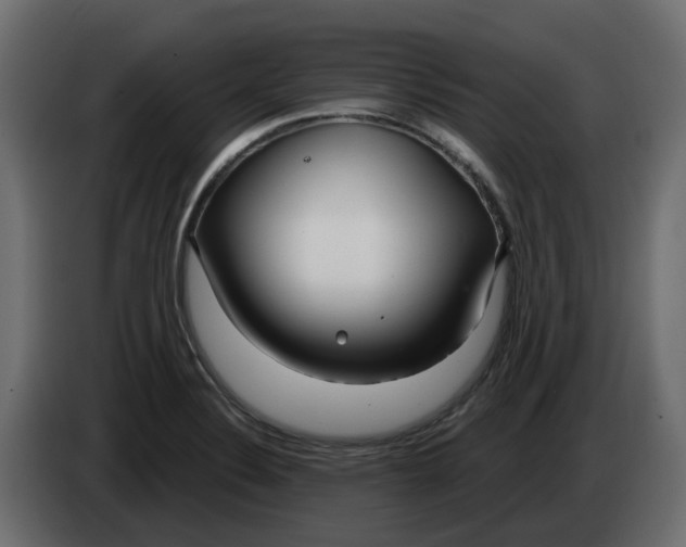 X0000083591324200703021833