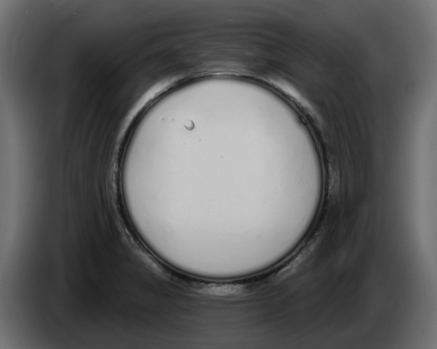 X0000083591325200703021833