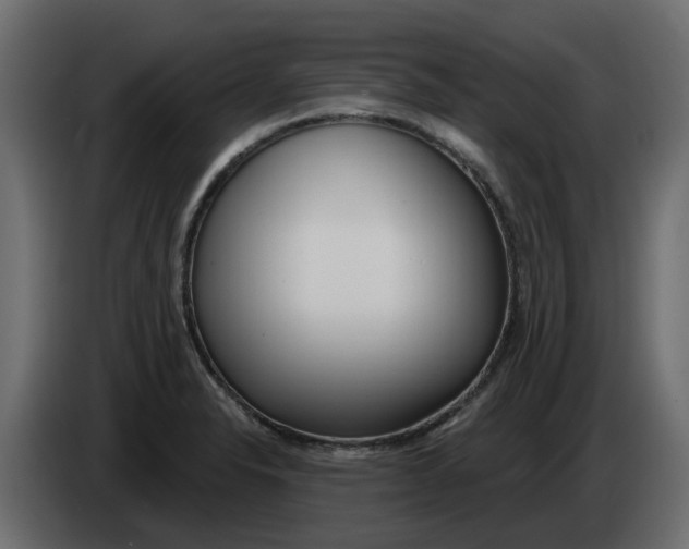 X0000083591326200703021833