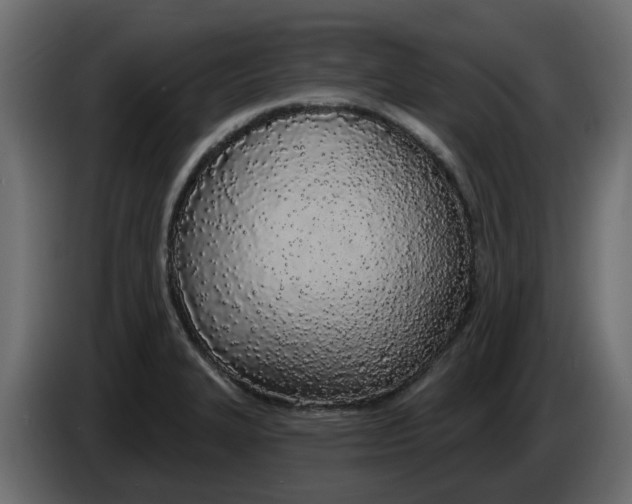 X0000083591327200703021833