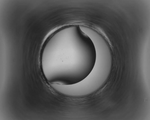 X0000083591328200703021833