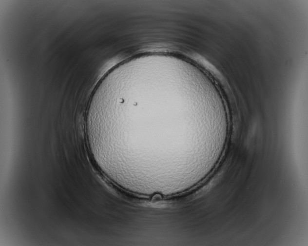 X0000083591329200703021833