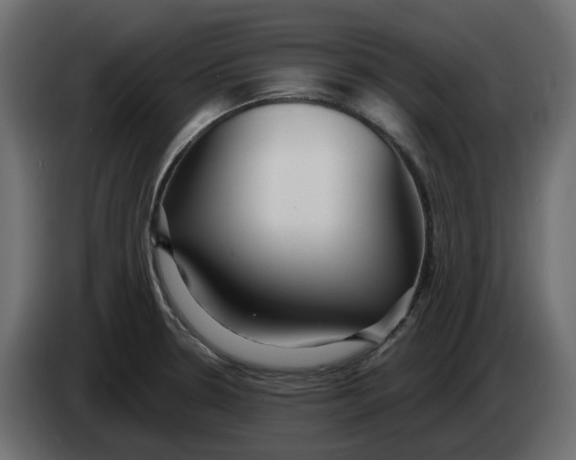 X0000083591330200703021833