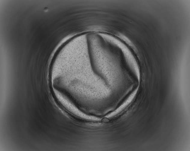 X0000083591331200703021833