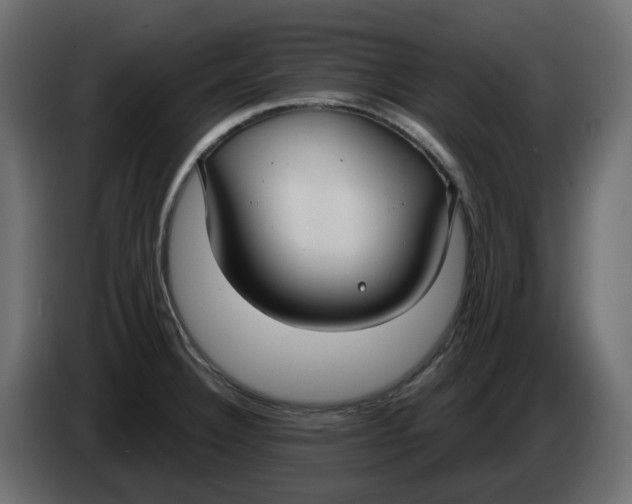 X0000083591332200703021833