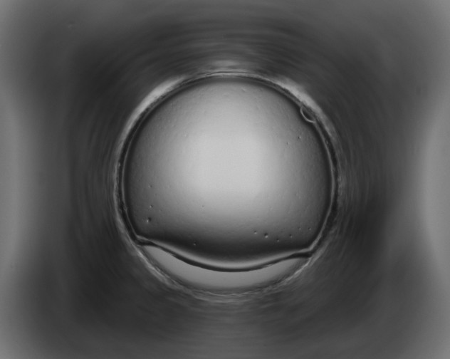 X0000083591333200703021833