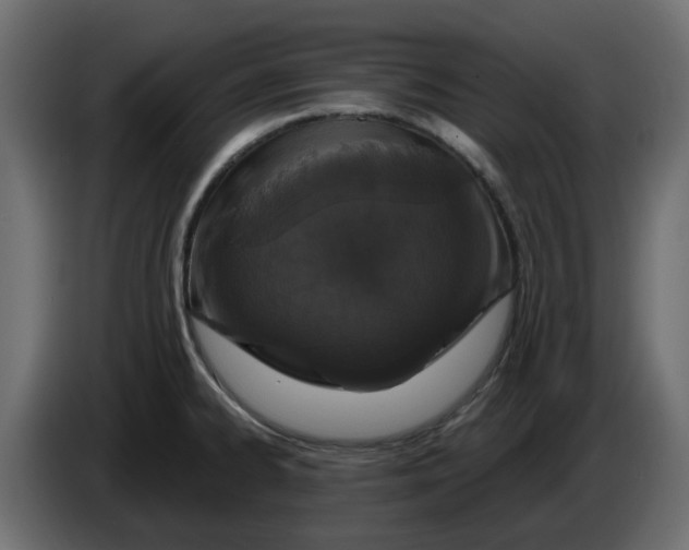 X0000083591334200703021833