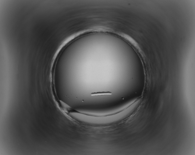 X0000083591335200703021834