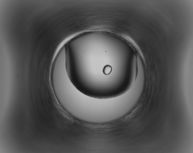 X0000083591336200703021834