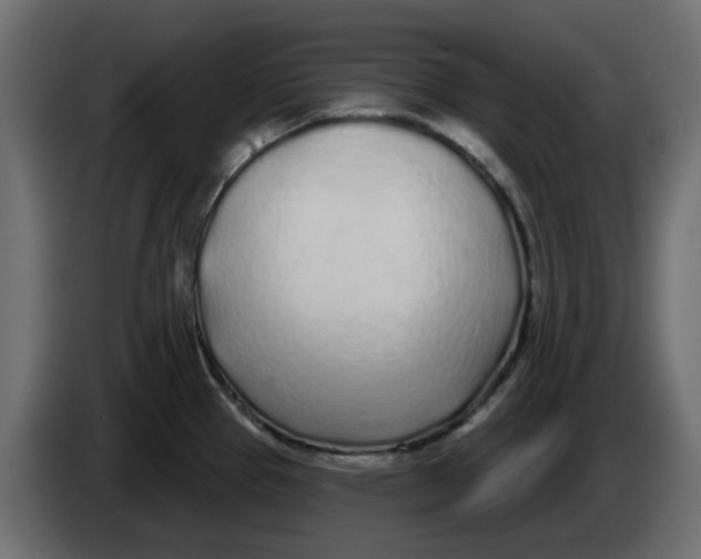 X0000083591337200703021834