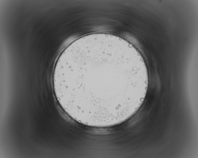 X0000083591338200703021834
