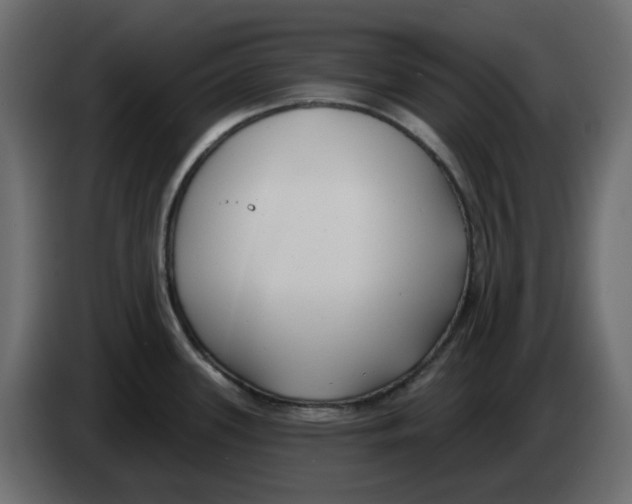 X0000083591339200703021834