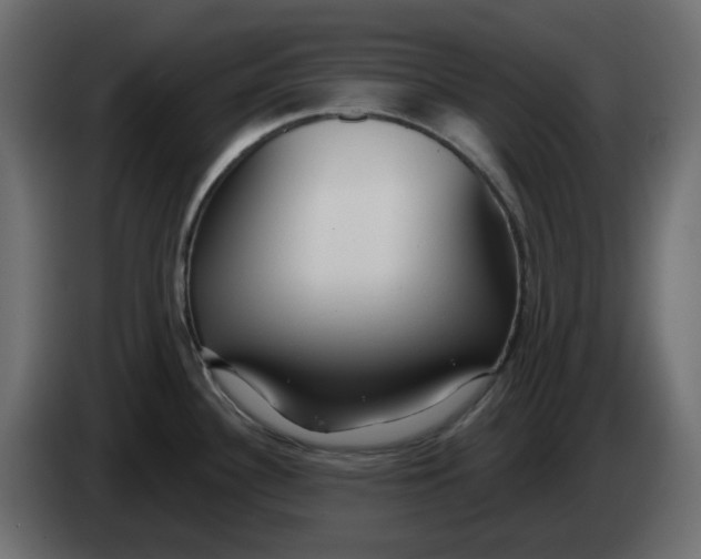 X0000083591340200703021834