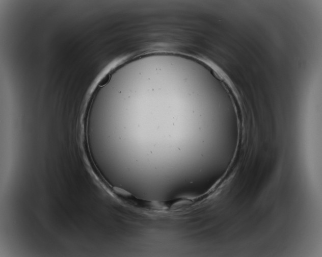 X0000083591341200703021834