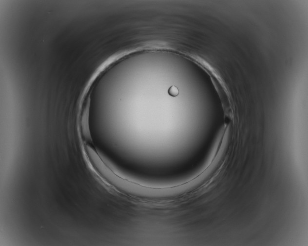 X0000083591342200703021834