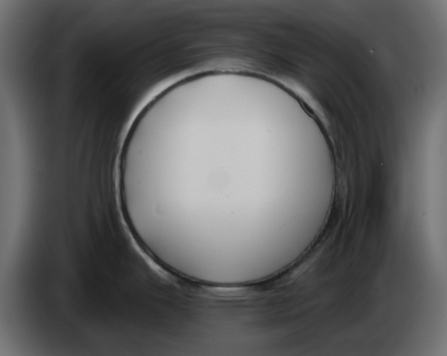 X0000083591343200703021834