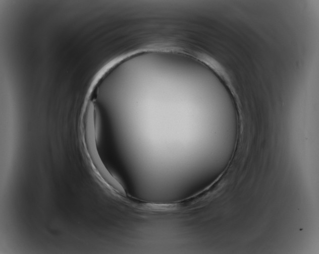 X0000083591344200703021834