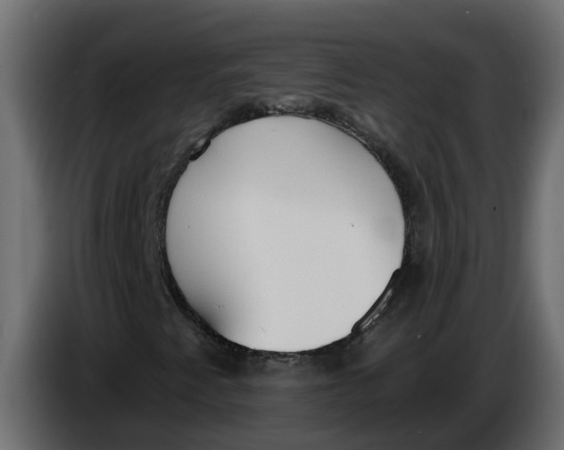 X0000083591345200703021833
