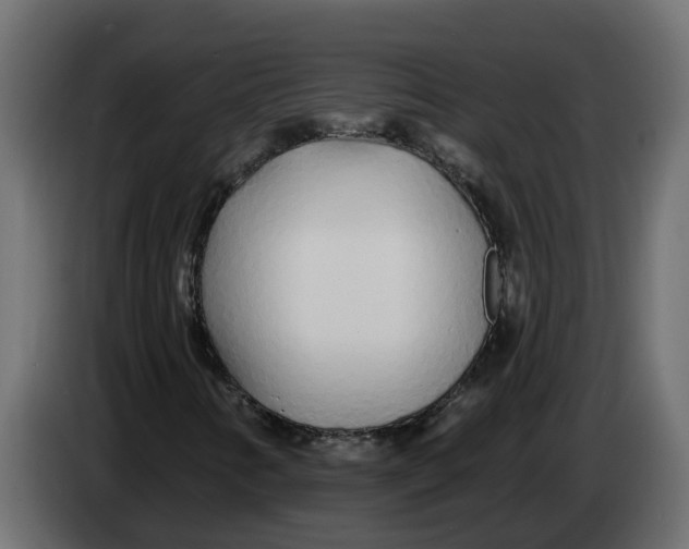 X0000083591346200703021833