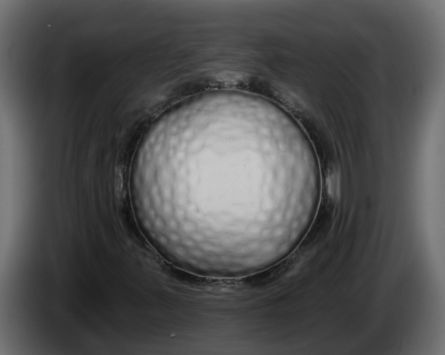 X0000083591347200703021833