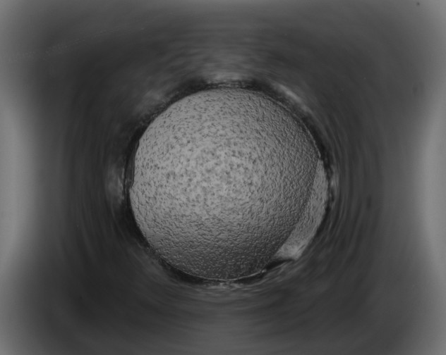 X0000083591348200703021833
