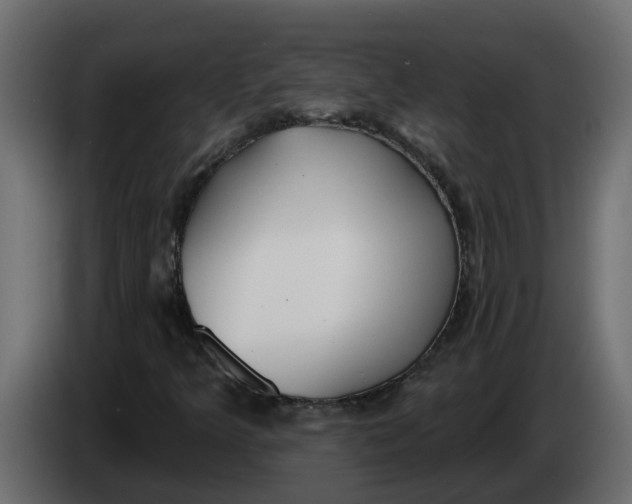 X0000083591349200703021833