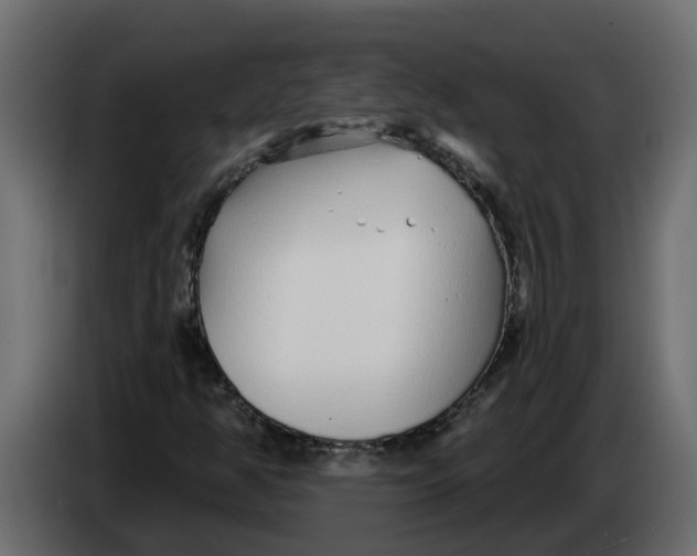 X0000083591350200703021833