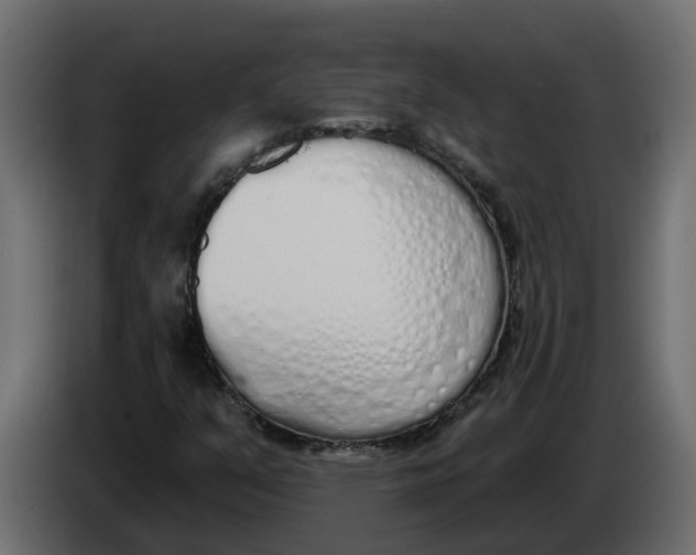 X0000083591351200703021833