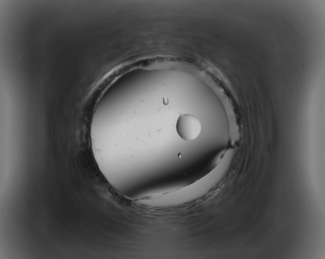 X0000083591352200703021833