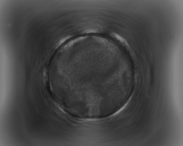 X0000083591353200703021833