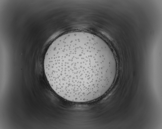 X0000083591354200703021833