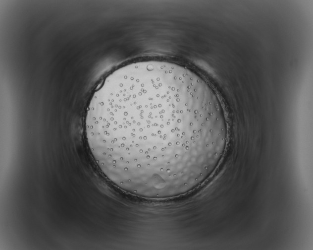 X0000083591355200703021833