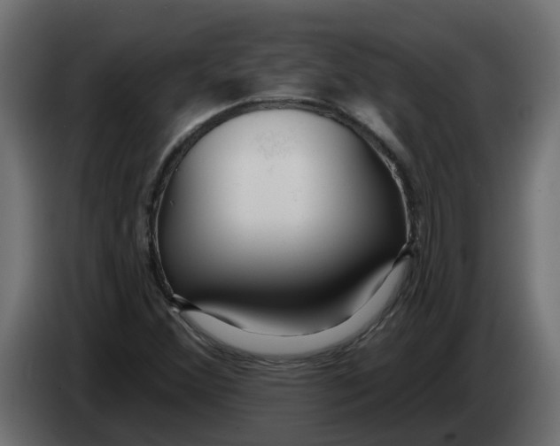 X0000083591356200703021833