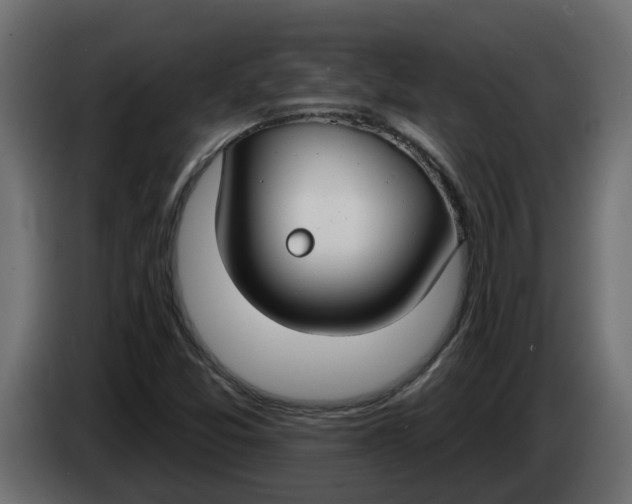 X0000083591357200703021832