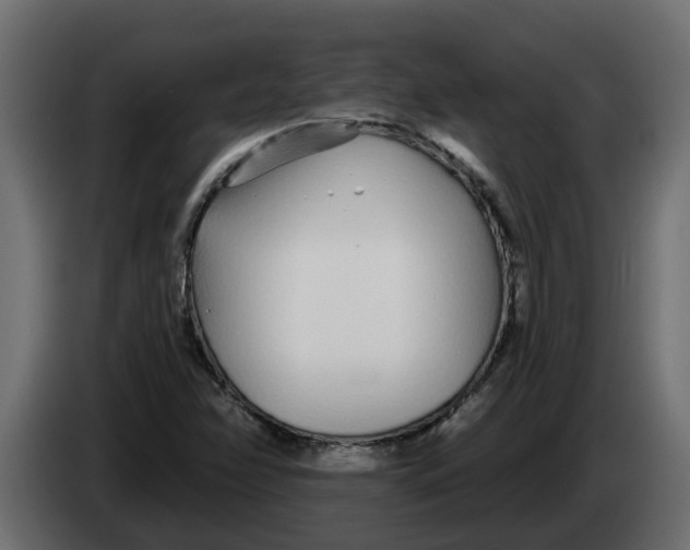 X0000083591358200703021832