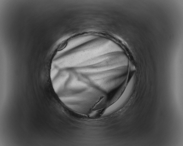 X0000083591359200703021832