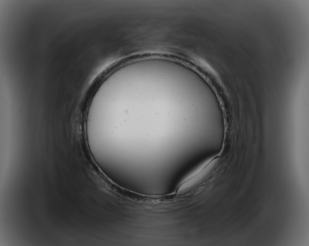 X0000083591360200703021832