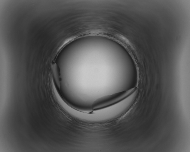X0000083591361200703021832