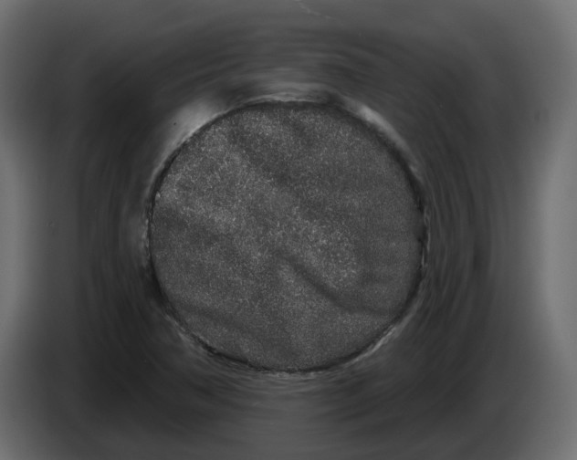 X0000083591362200703021832