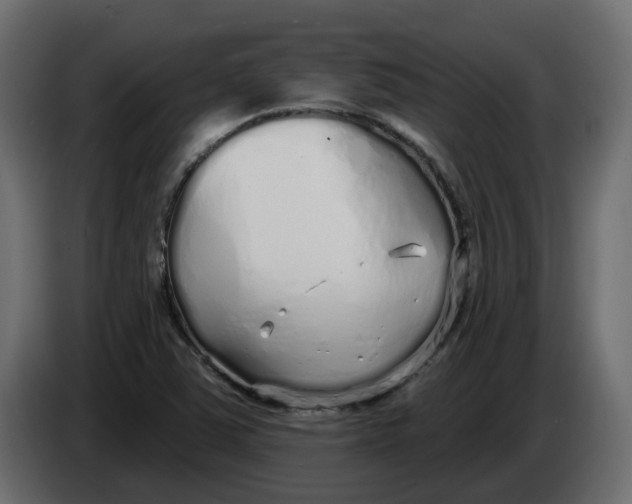 X0000083591363200703021832